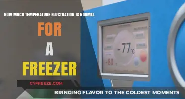 Understanding Normal Freezer Temperature Fluctuations: What’s Acceptable?