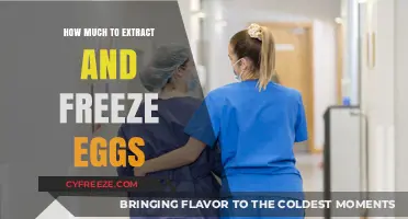 Egg Preservation: A Comprehensive Guide to Freezing Your Future