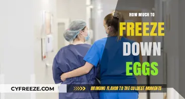 Egg Preservation: The Cost-Effective Guide to Freezing Your Future