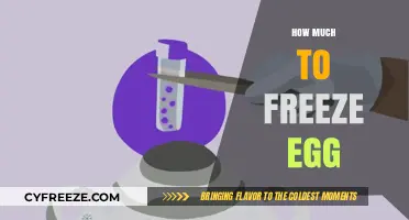 Egg Freezing Costs: What to Expect and Budget For