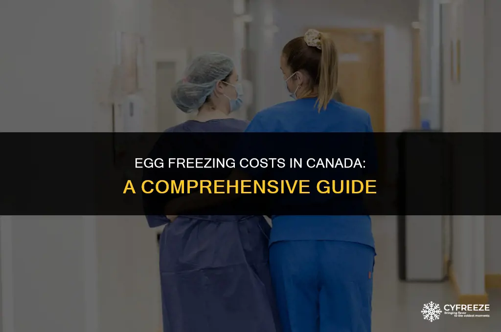 how much to freeze eggs canada