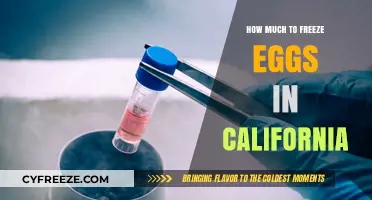 Egg Freezing Costs in California: What to Expect Financially