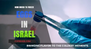 Egg Freezing in Israel: Costs and Considerations for Future Parents