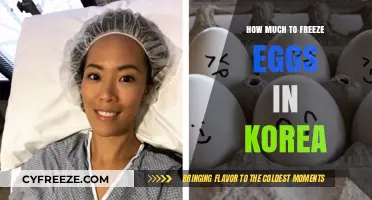 Egg Freezing in Korea: Costs and Considerations for Future Parents