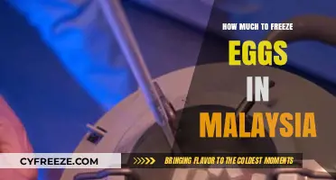 Egg Freezing Costs in Malaysia: A Comprehensive Guide