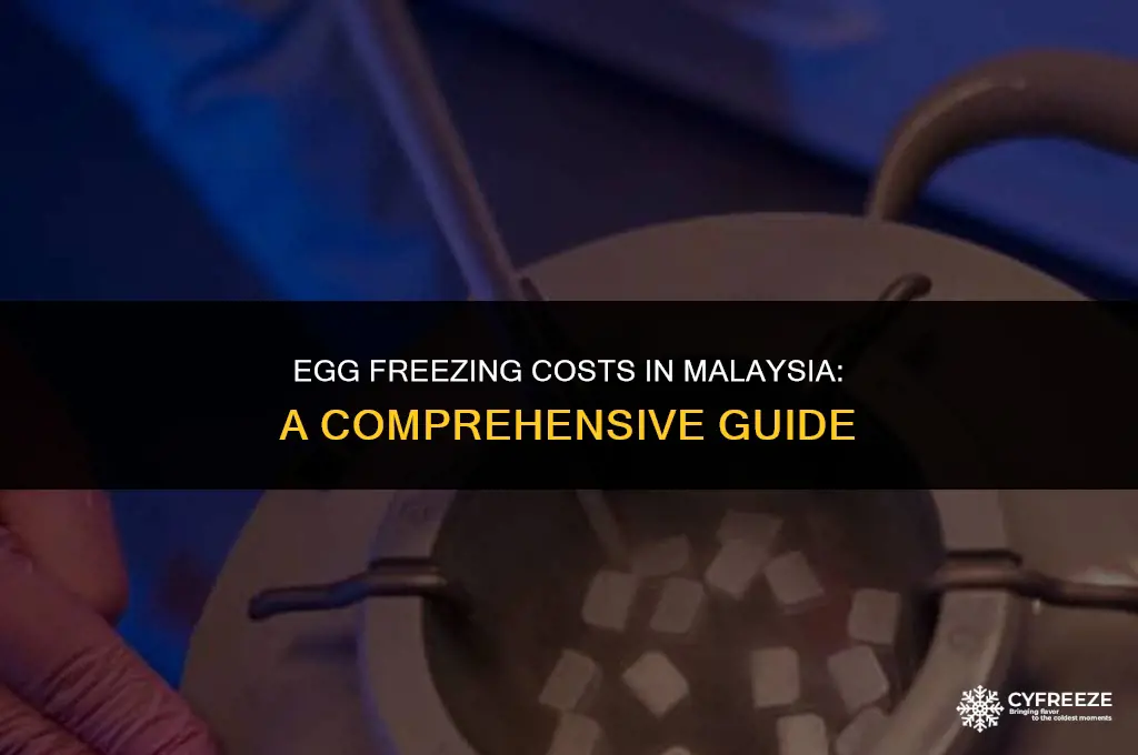 how much to freeze eggs in malaysia