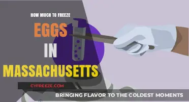 Egg Freezing Costs in Massachusetts: A Comprehensive Guide