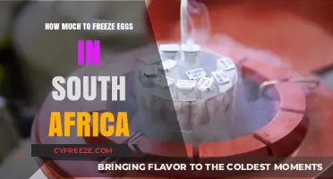 Egg Freezing Costs in South Africa: A Comprehensive Guide