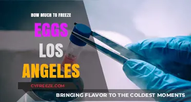 Egg Freezing in LA: Costs and Considerations for Your Future Family