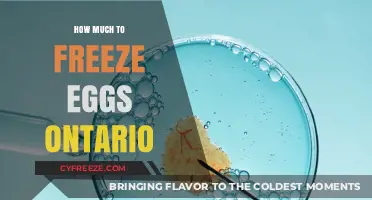 Egg Freezing Costs in Ontario: What to Expect Financially