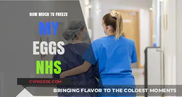 Egg Freezing Costs on the NHS: What You Need to Know