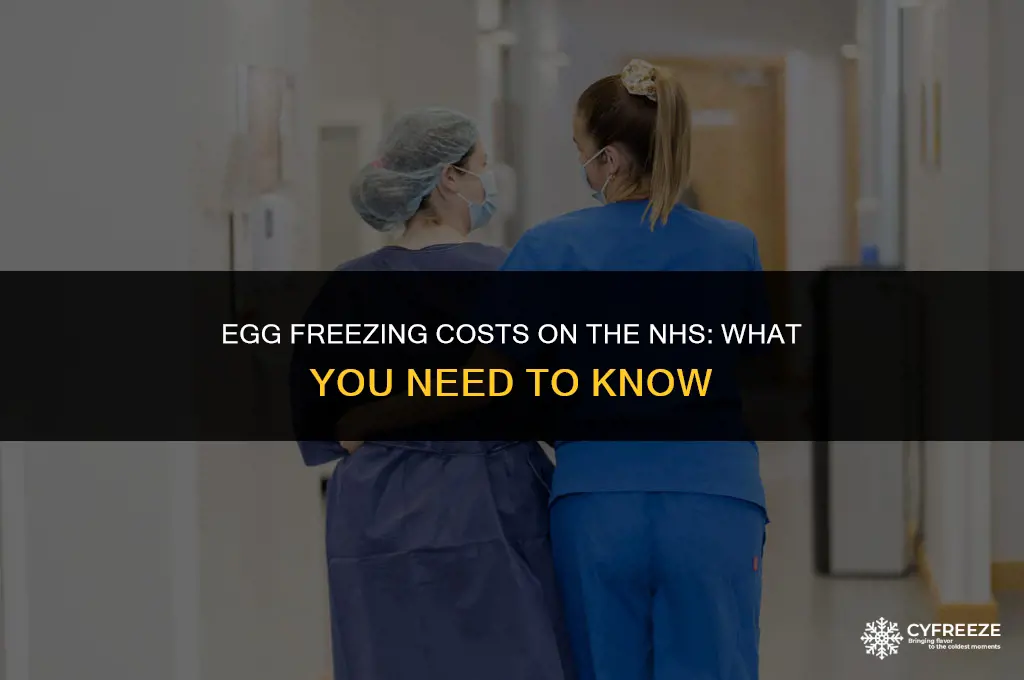 how much to freeze my eggs nhs