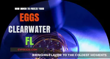 Egg Freezing Costs in Clearwater, FL: What You Need to Know