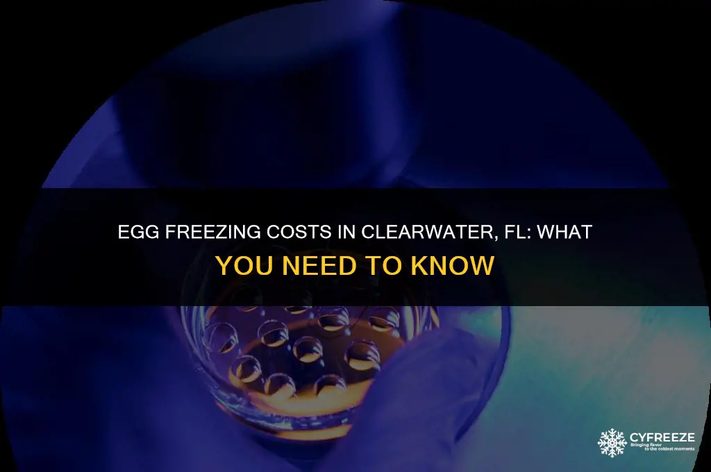how much to freeze your eggs clearwater fl