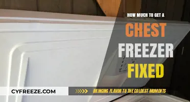 Chest Freezer Repair Costs: What to Expect for Fixes