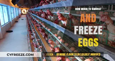 Egg Harvesting and Freezing: A Comprehensive Guide to Quantity and Costs
