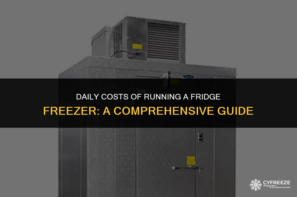 how much to run a fridge freezer a day
