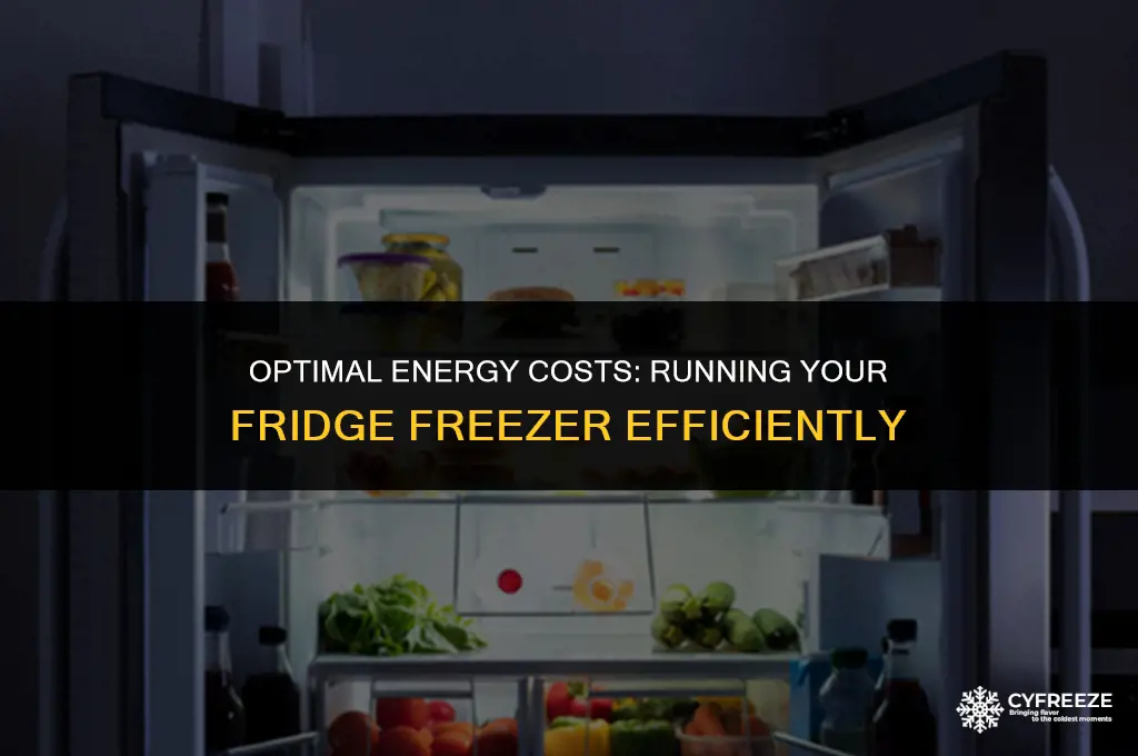 how much to run fridge freezer