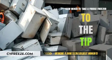 Cost-Effective Guide: Disposing of Your Fridge Freezer Responsibly