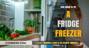 The Ultimate Guide to Tipping Your Fridge Freezer: Dos and Don'ts