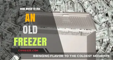 Cost-Effective Tips for Utilizing an Old Freezer Efficiently