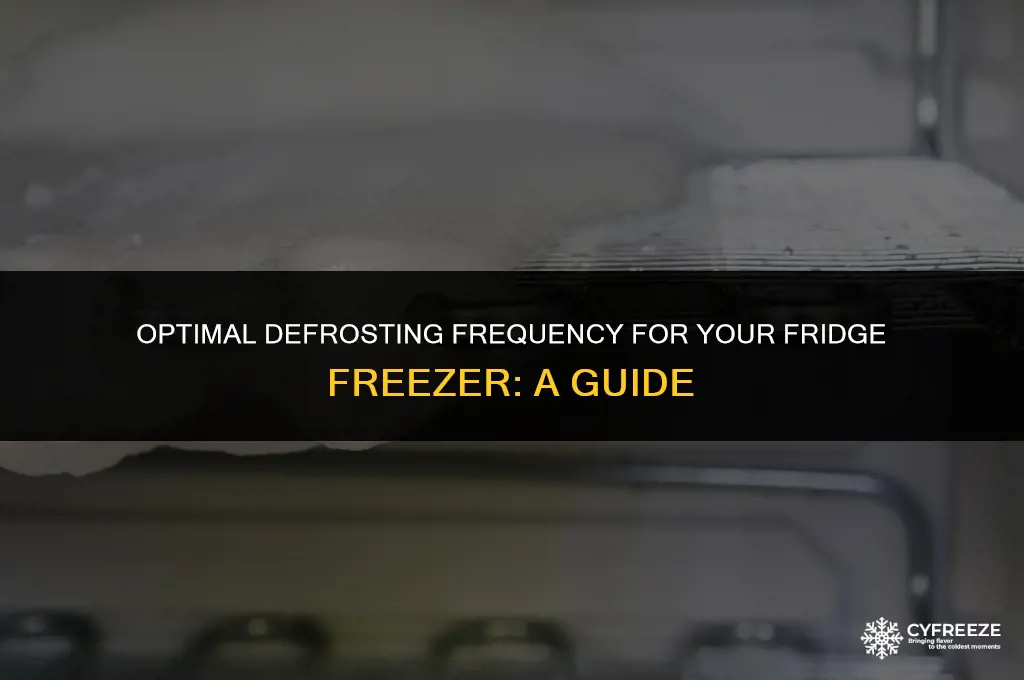 how often defrost fridge freezer