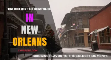 New Orleans Winter Chill: How Often Temperatures Drop Below Freezing