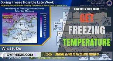 How Often Does Texas Experience Freezing Temperatures? A Climate Analysis