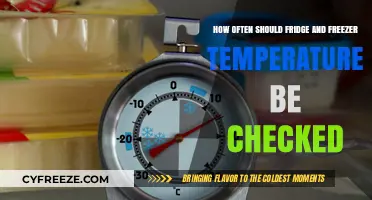 Optimal Chill: How Often to Check Fridge and Freezer Temps