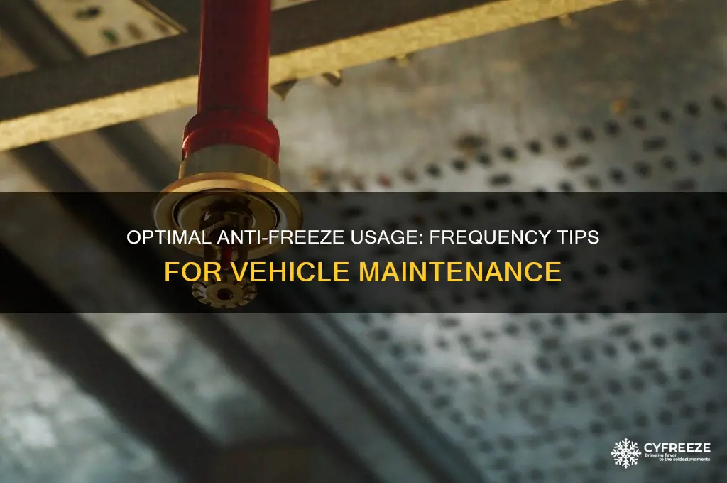 how often should i use anti freeze