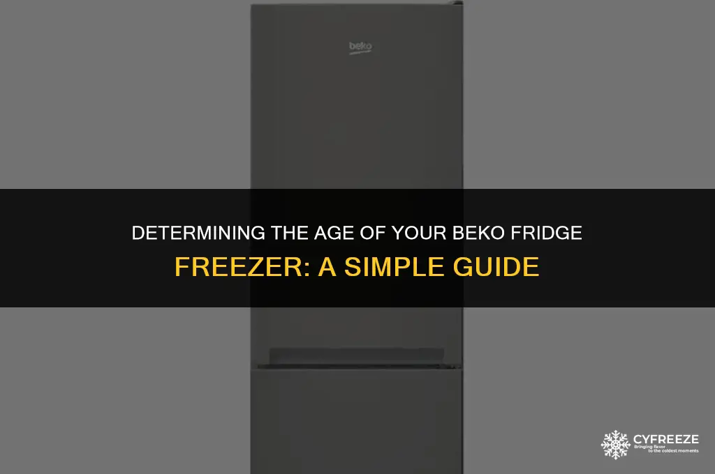 how old is my beko fridge freezer