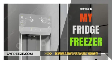 Decoding the Age of Your Fridge Freezer: A Comprehensive Guide