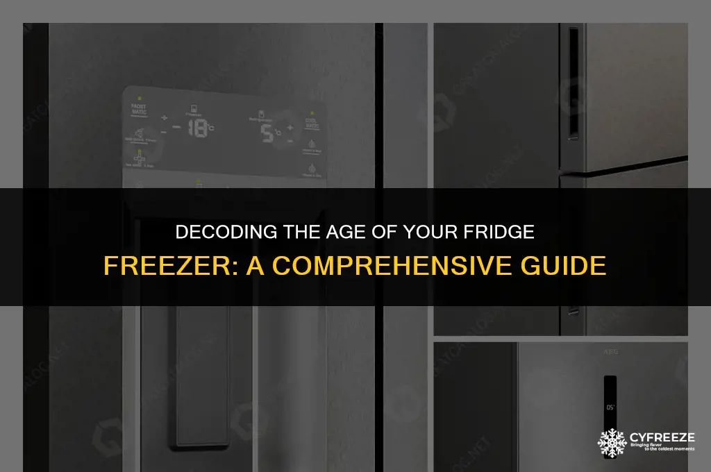 how old is my fridge freezer