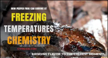 Chemistry of Survival: How Peeper Frogs Endure Freezing Temperatures
