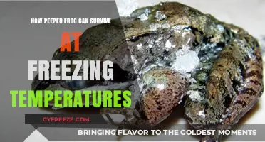 Surviving the Freeze: Peeper Frog's Remarkable Cold-Weather Adaptations