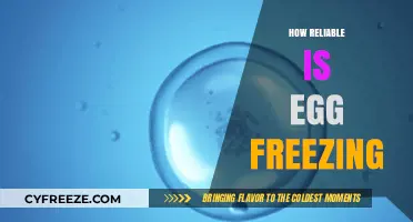 Evaluating the Reliability of Egg Freezing: A Comprehensive Guide