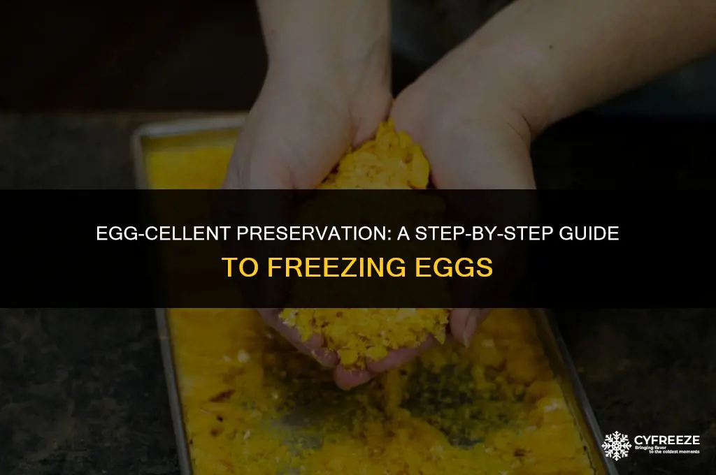 how ro freeze eggs