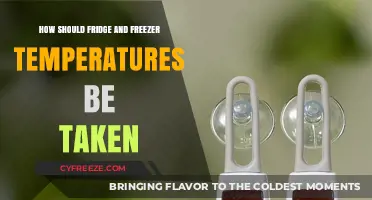 Mastering Food Safety: Accurate Fridge and Freezer Temperature Monitoring Tips