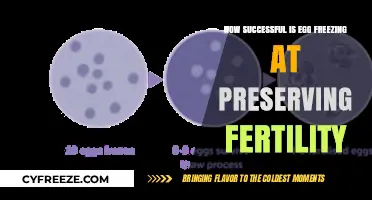 Unlocking the Potential: Success Rates of Egg Freezing for Fertility Preservation