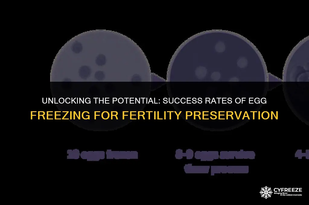how successful is egg freezing at preserving fertility