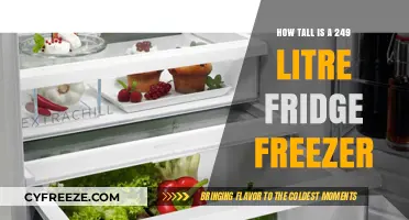 Compact or Tall: Understanding the Height of a 249 Litre Fridge Freezer