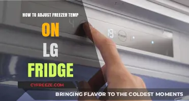 Mastering Your LG Fridge: A Guide to Adjusting Freezer Temperature