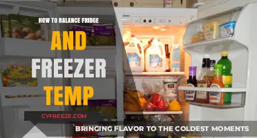 Optimal Chill: Mastering the Balance of Fridge and Freezer Temps