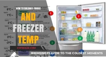 Optimal Chill: Mastering the Balance of Fridge and Freezer Temps