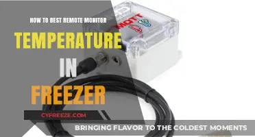 Effective Remote Temperature Monitoring Solutions for Freezer Management