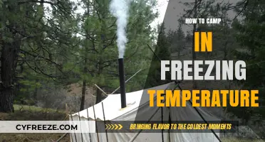 Master Winter Camping: Essential Tips for Freezing Temperature Survival