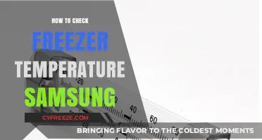 How to Accurately Check Your Samsung Freezer Temperature