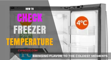Accurate Freezer Temperature Monitoring: Essential Tips for Food Safety and Efficiency