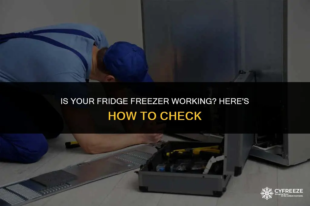 how to check if fridge freezer is working