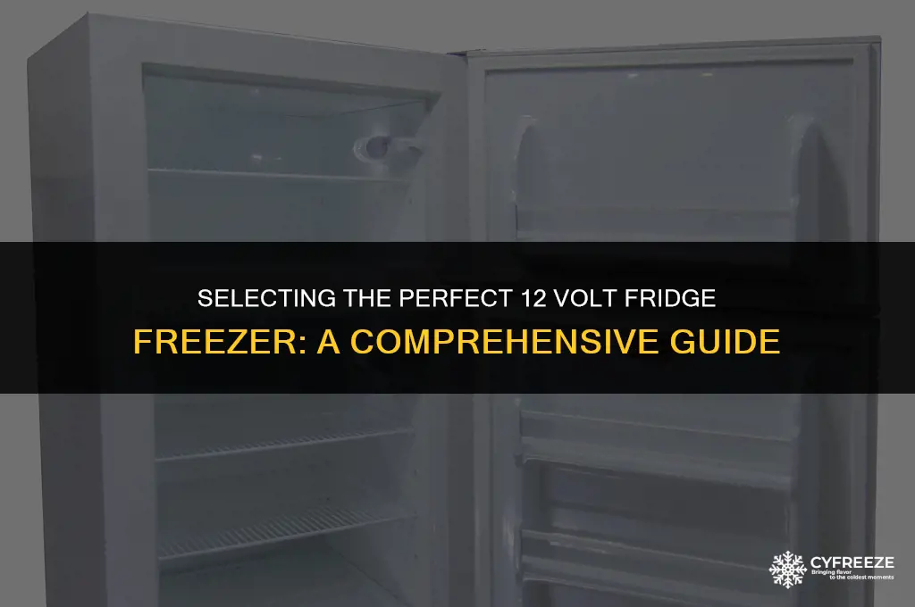 how to choose 12 volt fridge freezer